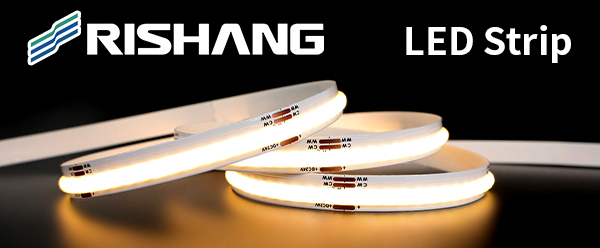 Rishang Optoelectronics Co., Ltd.